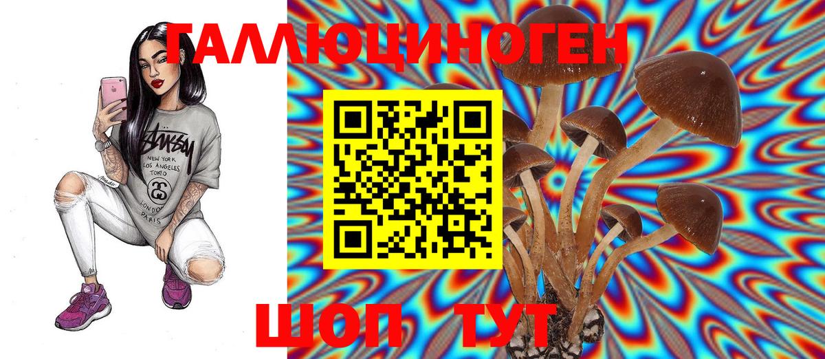 Псилоцибиновые грибы MAGIC MUSHROOMS  Вход с VPN  Кимры 