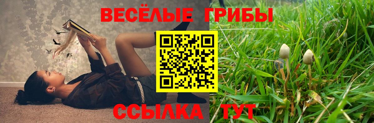 Псилоцибиновые грибы Magic Shrooms Кимры